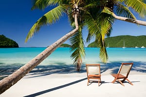 chairs under palm trees at a beach in Virgin Islands