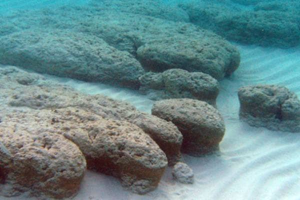 the exumas stromatolites on darby island